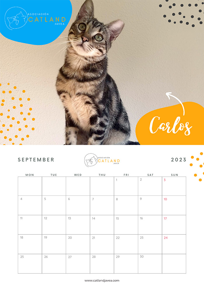 Carlos - Catland Calendar 2023