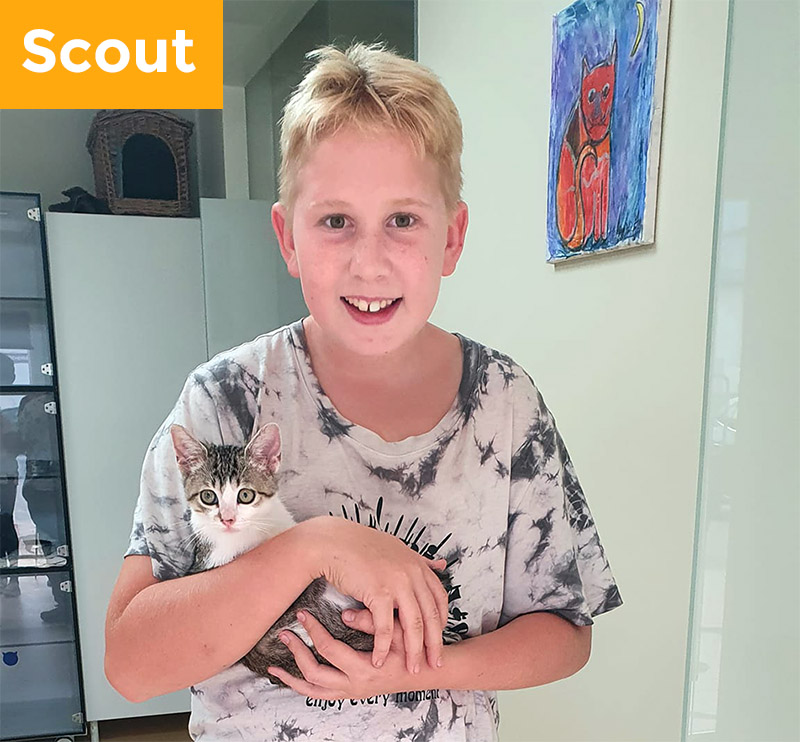 Scout has been adopted!