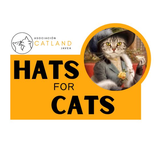 Hats for Cats - Catland Javea Afternoon Tea Event