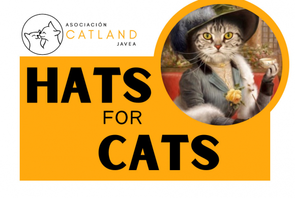 Hats for Cats - Catland Javea Afternoon Tea Event